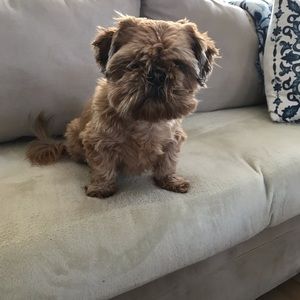 Meet your Posher, Alycia